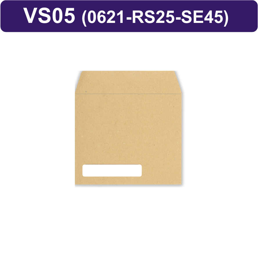 1000 x RS25 SE45 SAGE-0621 Sage COMPATIBLE Payslip Envelope (Shows Name Only) all prices include FREE delivery to UK Mainland for use with VS01 ***Order Code VS05